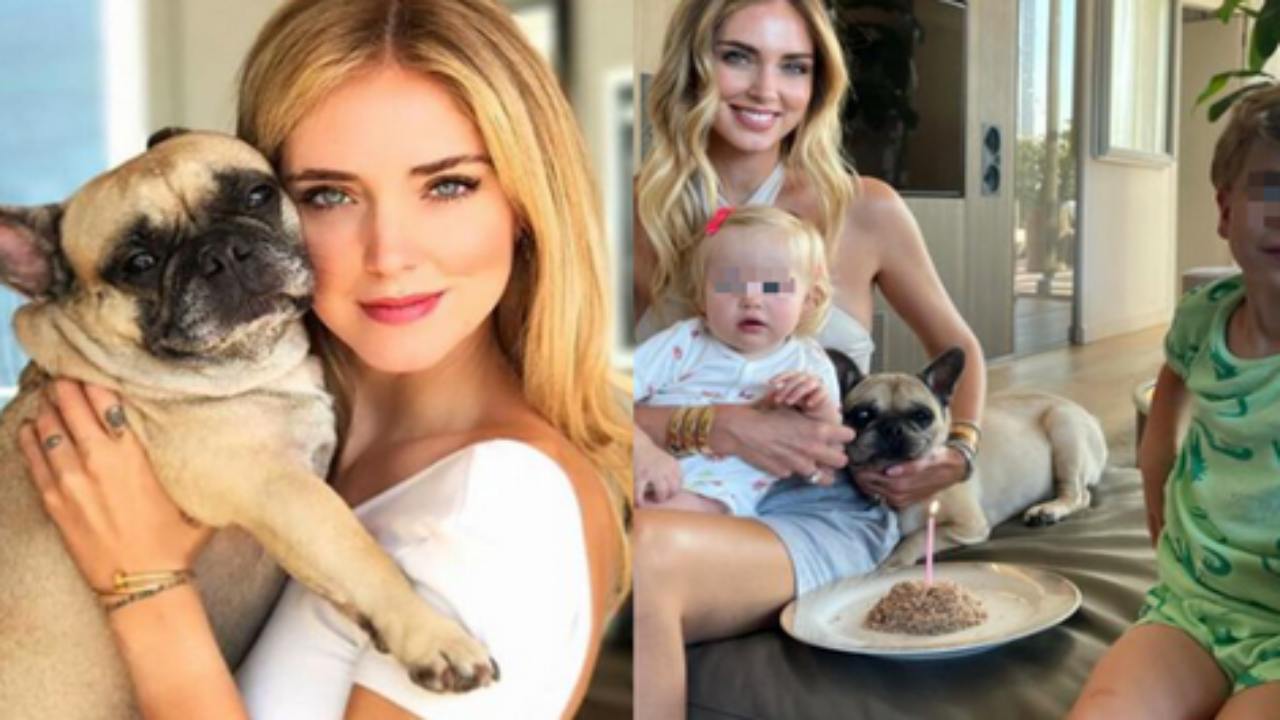 sai-quanti-anni-ha-il-cane-di-chiara-ferragni?-un-record