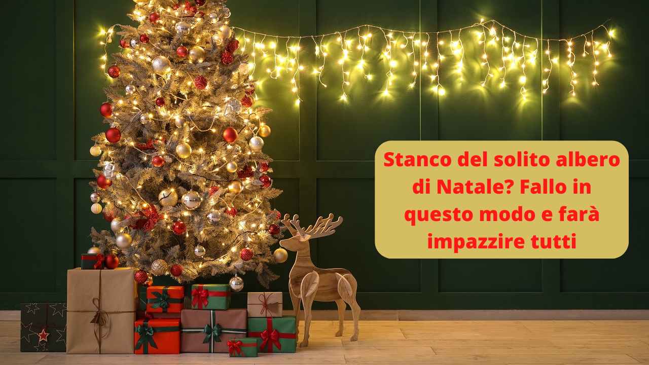 basta-con-il-solito-albero-di-natale:-fallo-in-questo-modo-e-tutti-vorranno-copiarti