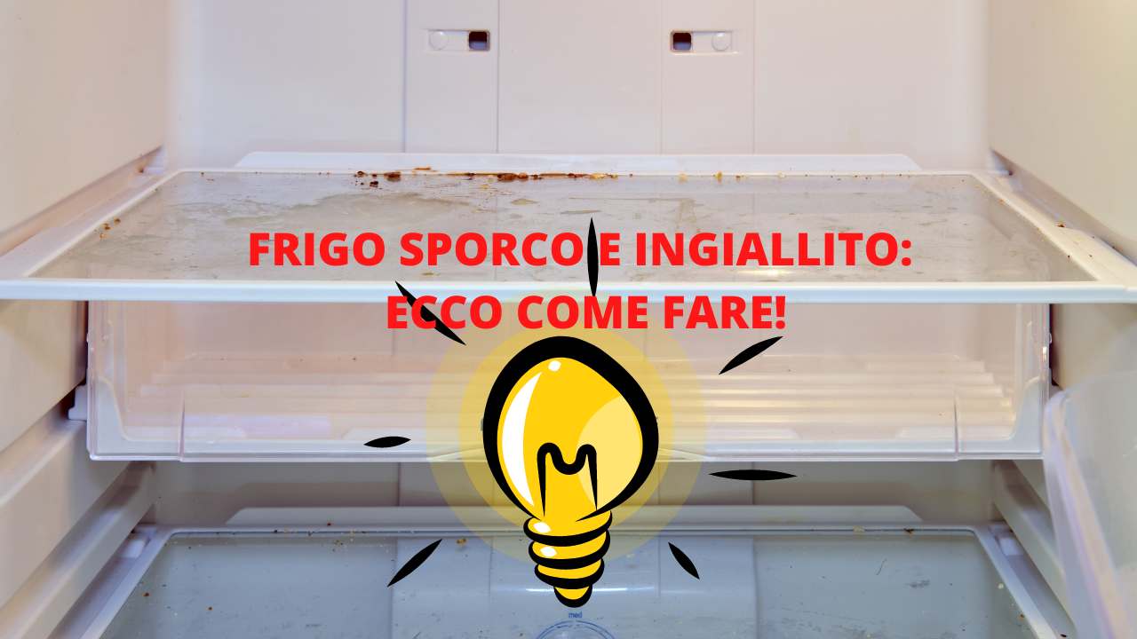 lo-sportello-del-frigorifero-si-e-ingiallito?-ti-svelo-un-trucchetto-per-farlo-tornare-come-nuovo