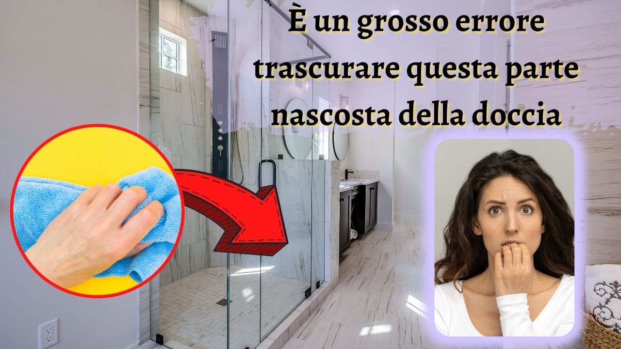 questa-parte-della-doccia-va-assolutamente-pulita-cosi:-nessuno-ci-pensa-mai