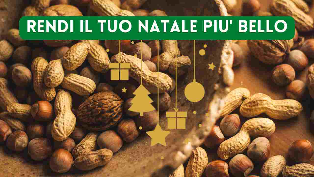 come-usare-della-semplice-frutta-secca-per-realizzare-dei-fantastici-addobbi-natalizi