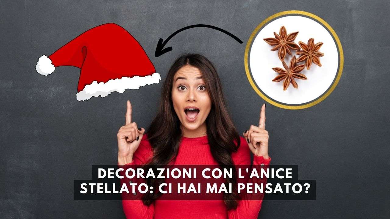 3-decorazioni-natalizie-con-lanice-stellato-:-sono-facilissime-ed-una-piu-bella-dellaltra