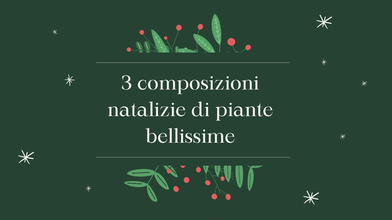 3-composizioni-natalizie-con-le-piante:-cosi-belle-che-tutti-vorranno-imitarti