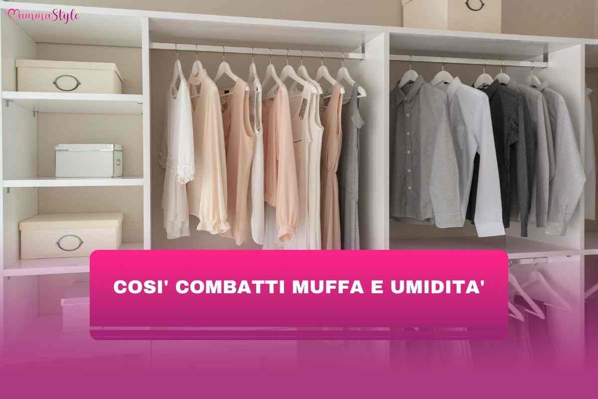 ne-metti-una-bustina-nellarmadio-e-nei-cassetti-ed-hai-risolto-ogni-problema-contro-muffa-ed-umidita:-ti-bastera-questo