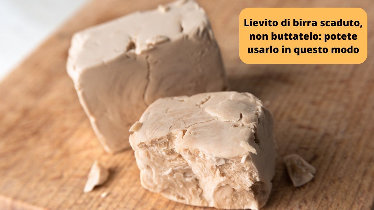 lievito-di-birra-scaduto:-gettarlo-via-e-un-grosso-errore-|-usalo-cosi-e-non-crederai-ai-tuoi-occhi