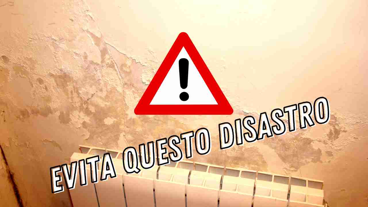 umidita-in-casa:-cosa-fare-per-sbarazzarti-velocemente-del-problema