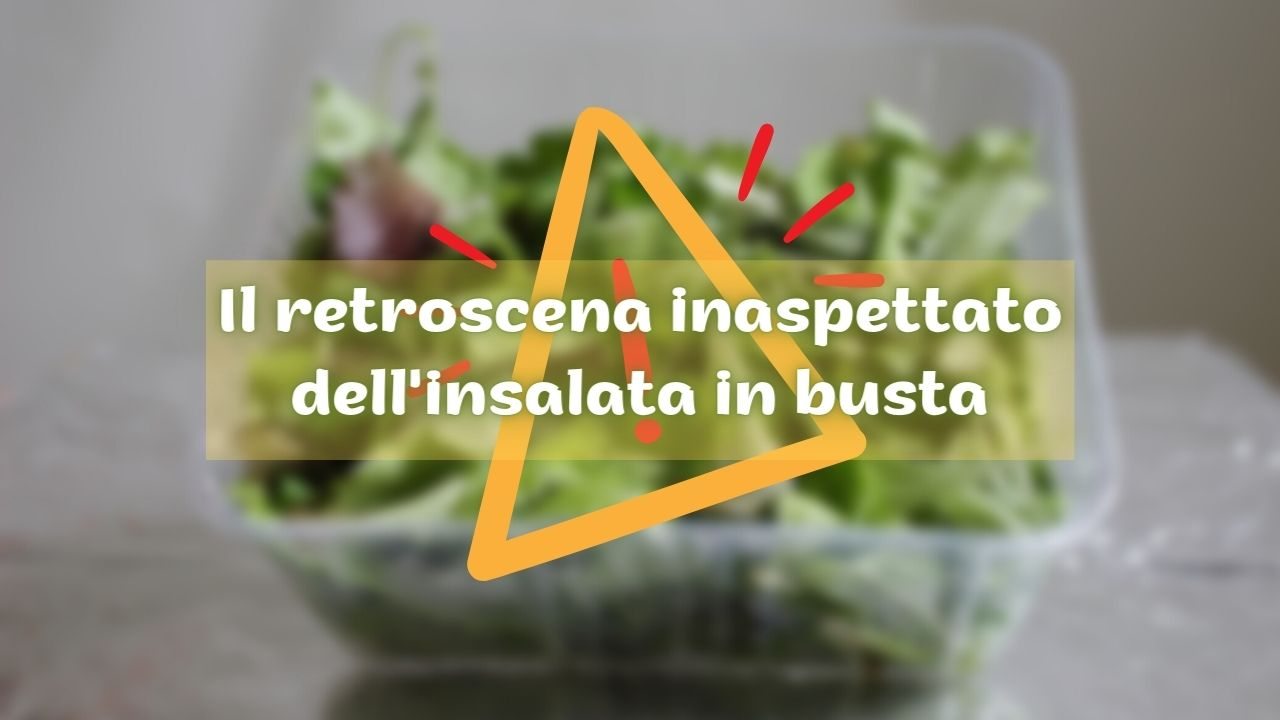 insalata-confezionata-in-busta:-mangiarla-e-sicuro?-il-retroscena-che-non-tutti-conoscono