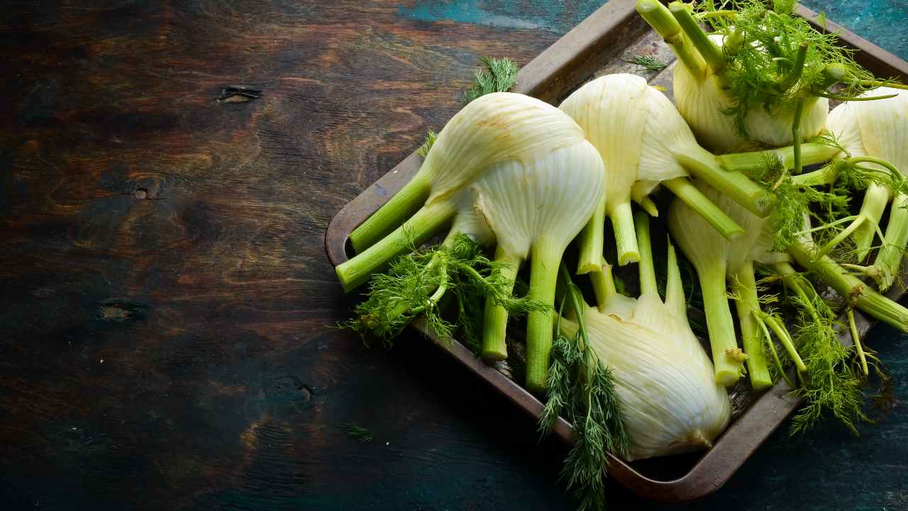 barba-dei-finocchi,-non-buttarla!-ci-prepariamo-un-pesto-per-la-pasta-veloce-e-vegano