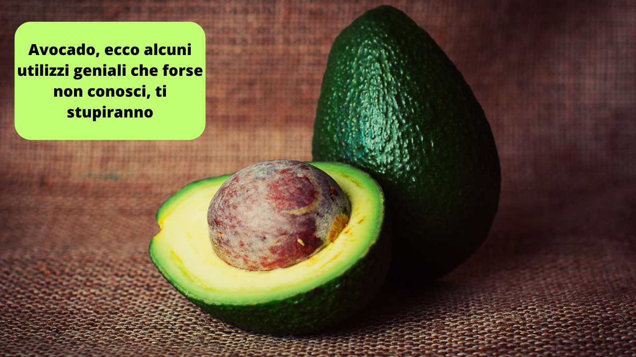 avocado:-se-non-lhai-mai-usato-cosi-non-sai-che-ti-perdi-|-gli-utilizzi-geniali