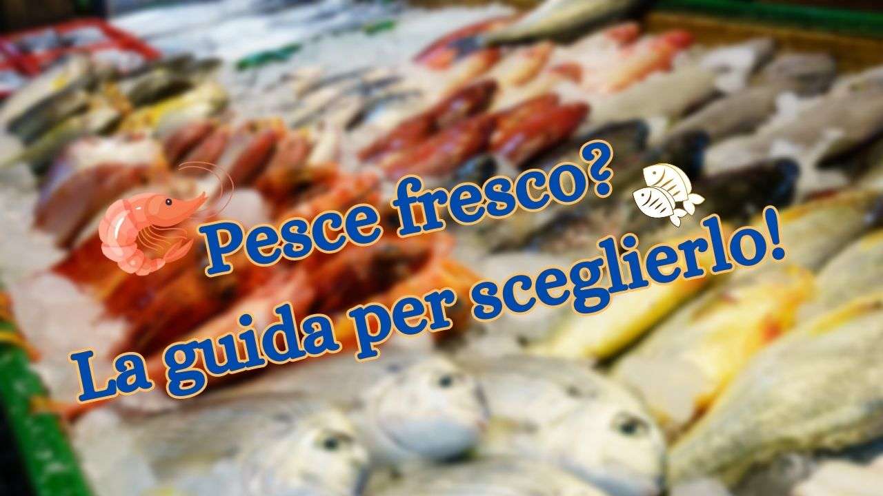 il-trucco-per-scegliere-sempre-il-pesce-piu-fresco:-ti-basta-un-solo-sguardo