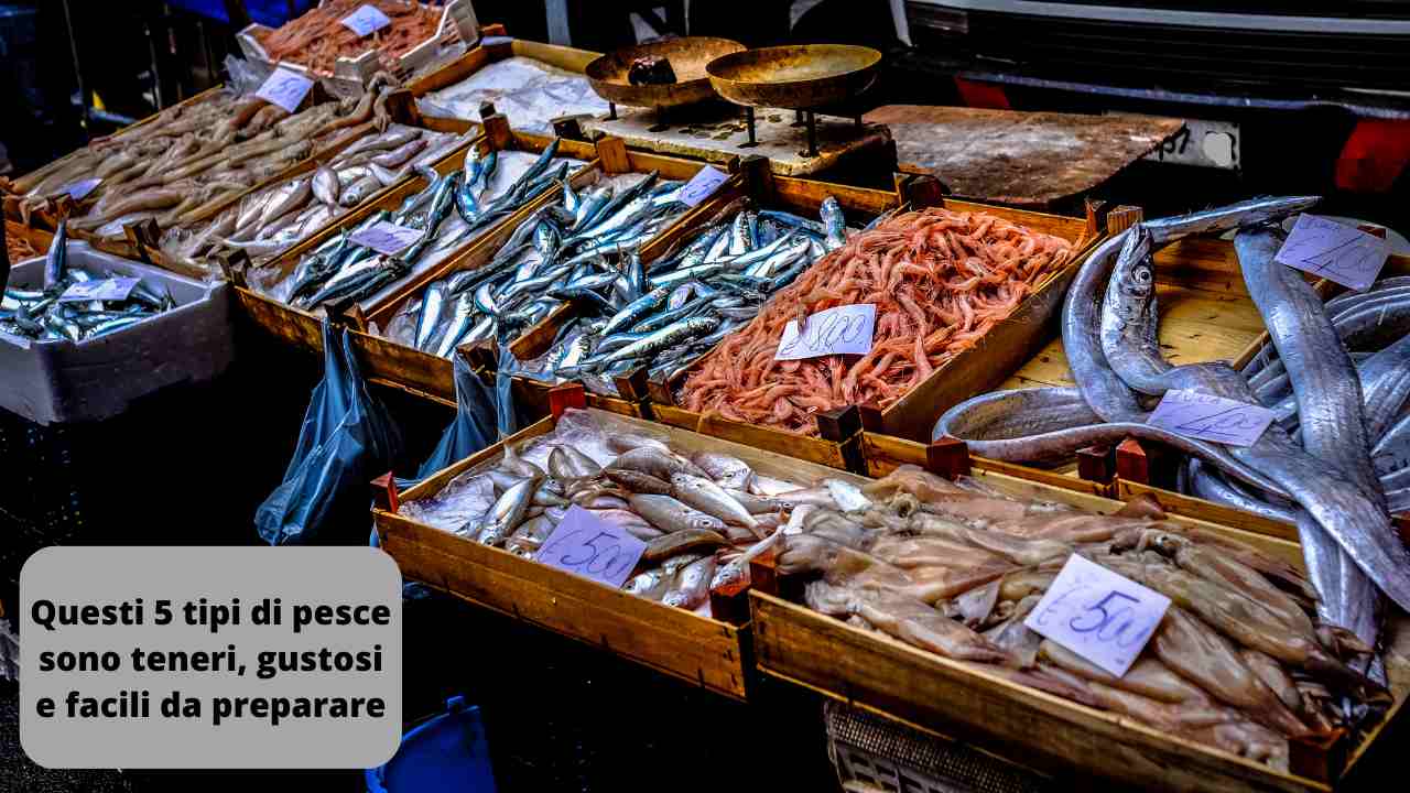 questi-5-tipi-di-pesce-sono-teneri,-gustosi-e-facilissimi-da-preparare