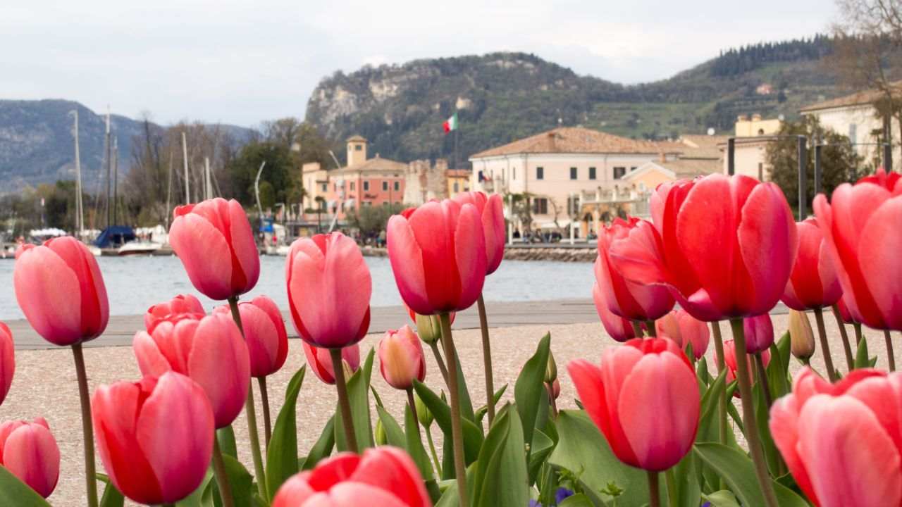 il-borgo-sul-lago-in-cui-sbocciano-centinaia-di-tulipani,-per-una-vacanza-a-contatto-con-la-natura