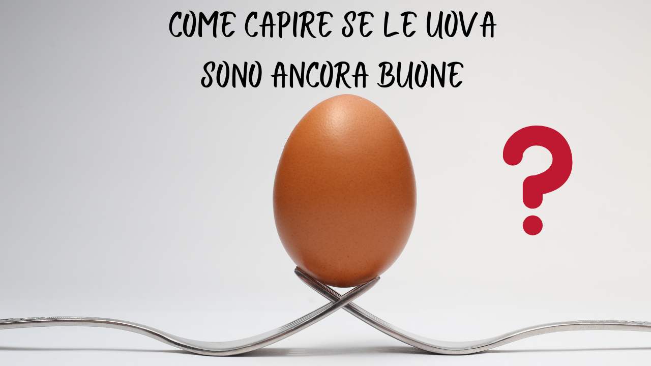 il-trucco-per-capire-se-le-uova-sono-ancora-buone-se-non-ricordi-piu-la-scadenza