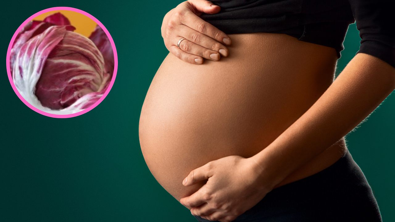 radicchio,-in-gravidanza-si-puo-mangiare?-alcune-informazioni-utili