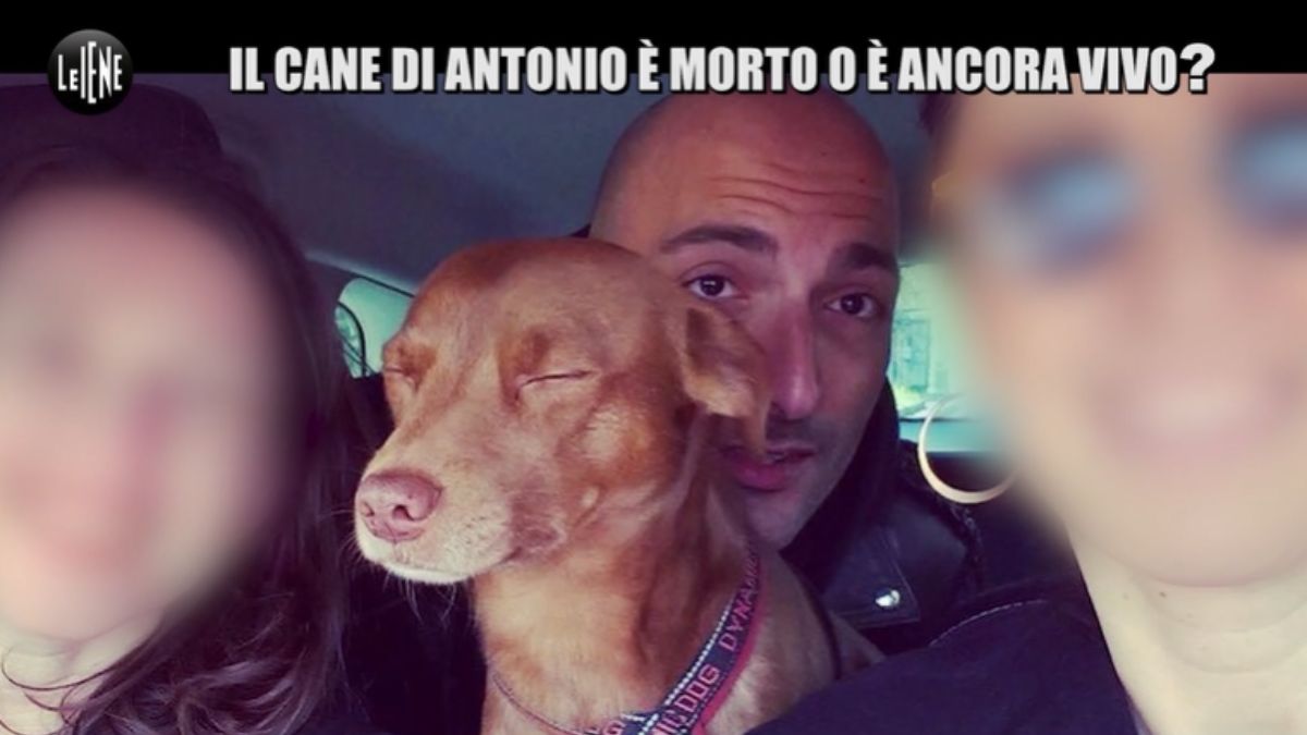 gustavo-e-vivo-o-morto?,-le-iene-raccontano-lincredibile-storia-di-antonio-e-del-suo-cane