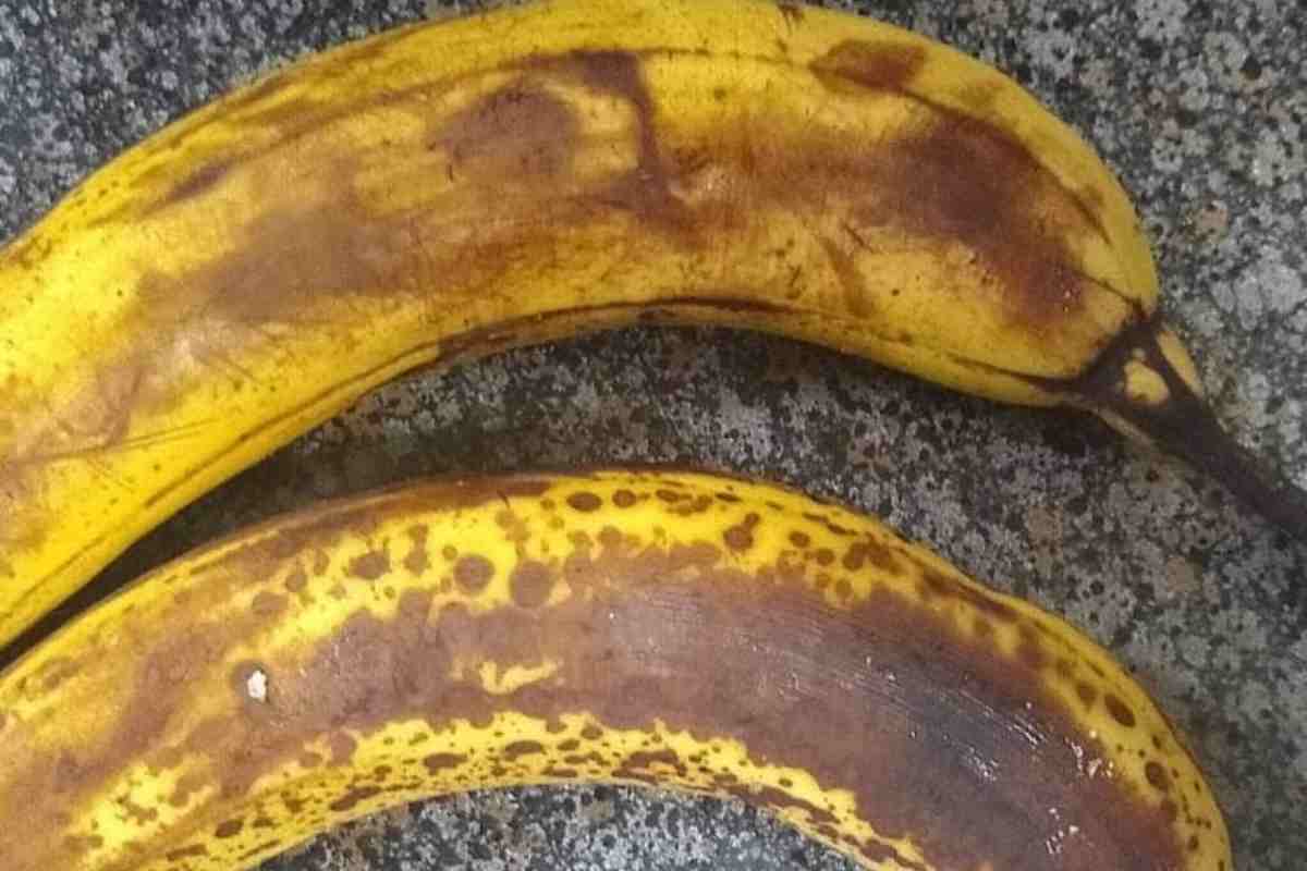 avevo-due-banane-nere-in-frigo,-ci-ho-fatto-dei-biscotti-che-mangio-tutti-i-giorni-senza-mettere-un-grammo