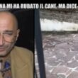 affida-il-cane-alla-vicina-e-lei-gli-dice-che-e-morto.-frizzi-e-gustavo?-il-giallo-continua