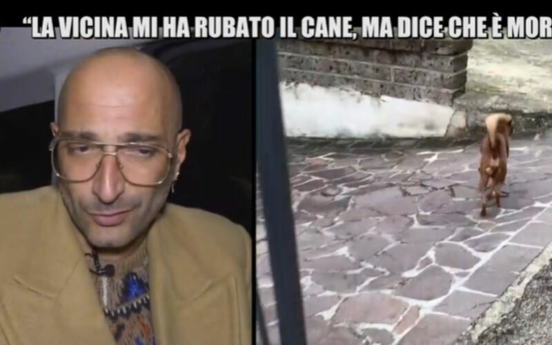 affida-il-cane-alla-vicina-e-lei-gli-dice-che-e-morto.-frizzi-e-gustavo?-il-giallo-continua