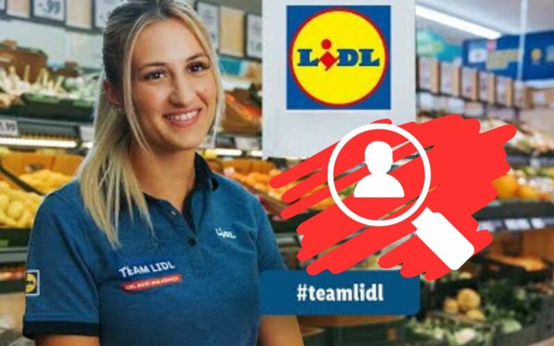 lidl-assume-con-urgenza,-ottimo-stipendio-anche-senza-esperienza