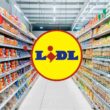 lidl-apre-nuovo-punto-vendita-in-questa-grande-citta:-nuove-assunzioni-previste