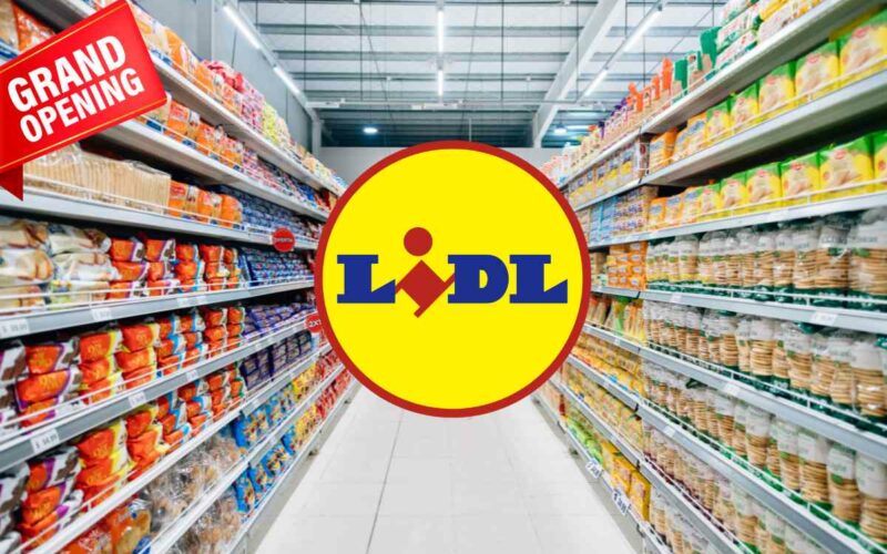 lidl-apre-nuovo-punto-vendita-in-questa-grande-citta:-nuove-assunzioni-previste