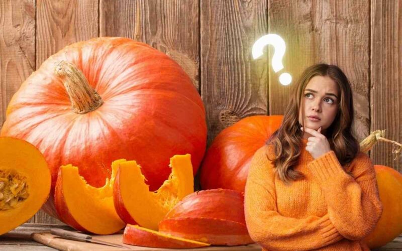 la-zucca-e-un-carboidrato-o-una-verdura?-nessuno-conosce-la-verita