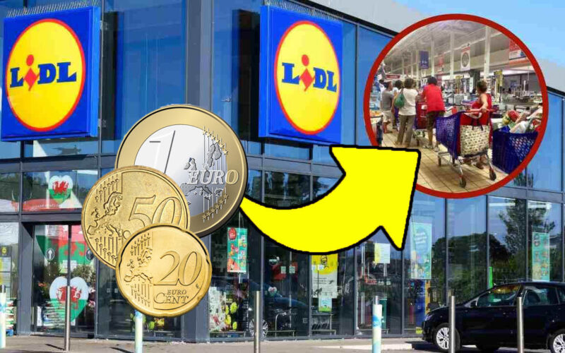 lidl,-ne-prendo-sempre-tantissimi-quando-sono-in-offerta-|-ora-li-trovi-sugli-scaffali-ad-appena-1,79-euro!