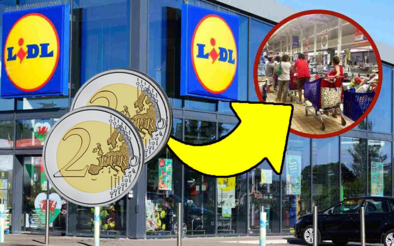 era-proprio-quello-di-cui-avevo-bisogno-in-questi-giorni,-le-uso-tutto-il-giorno-e-la-differenza-si-vede-|-da-lidl-costano-solo-3,99-euro!