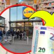 utilissimo-elettrodomestico-in-offerta-da-lidl,-in-cucina-serve-sempre-|-al-prezzo-di-29,99-euro-va-a-ruba!