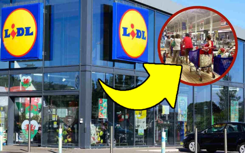 non-si-trova-facilmente,-da-lidl-invece-lo-trovi-ad-un-prezzo-eccezionale:-le-casalinghe-lo-adorano!