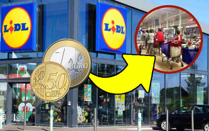 lidl,-ne-prendo-sempre-una-al-giorno:-in-casa-mia-non-possono-mai-mancare-|-ora-sono-in-offerta-a-soli-1,49-euro!