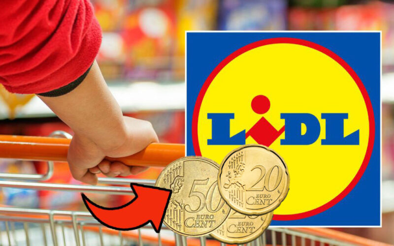 di-solito-costano-sempre-il-triplo,-ora-le-ho-trovate-a-0,89-euro-da-lidl:-ne-ho-prese-tantissime!