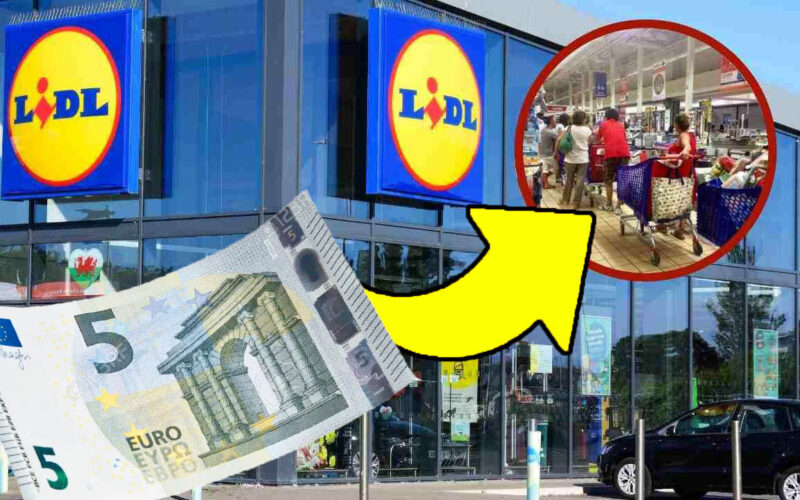 era-proprio-quello-che-cercavo-e-finalmente-lho-trovato-a-soli-4,99-euro-da-lidl:-mi-servira-ogni-giorno!