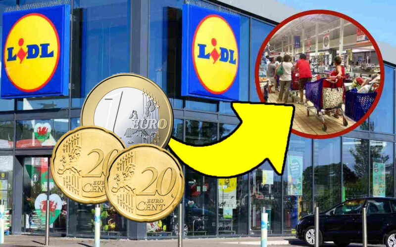 costano-piu-del-doppio-da-altre-parti,-questa-volta-le-ho-trovate-a-1,39-euro-da-lidl-e-ne-ho-prese-una-decina!