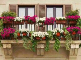 mai-fare-questa-cosa-sul-balcone:-adesso-finisci-in-guai-seri-e-ti-becchi-multe-salatissime