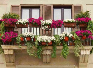 mai-fare-questa-cosa-sul-balcone:-adesso-finisci-in-guai-seri-e-ti-becchi-multe-salatissime