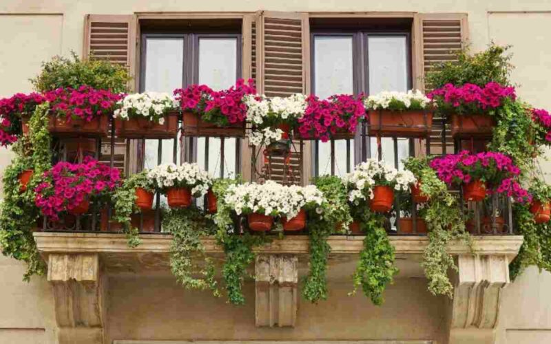 mai-fare-questa-cosa-sul-balcone:-adesso-finisci-in-guai-seri-e-ti-becchi-multe-salatissime