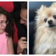 rubano-il-cane-di-una-bambina-affetta-da-sma,-miriam-in-lacrime-a-la-vita-in-diretta