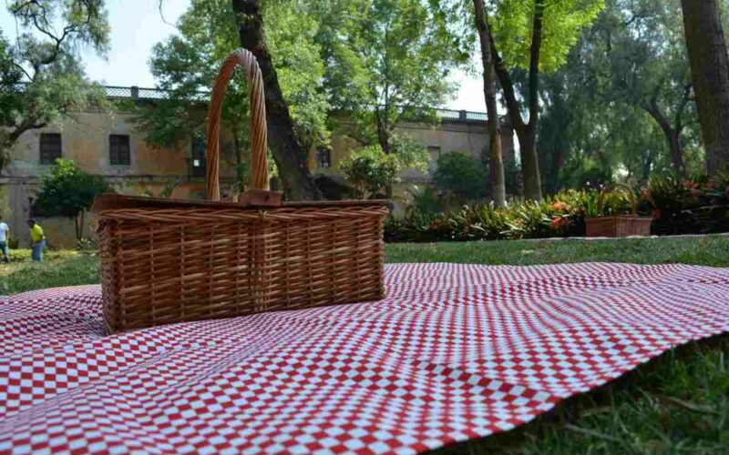 pic-nic-con-il-partner:-la-location-migliore-in-cui-farlo-e-a-un-passo-da-te