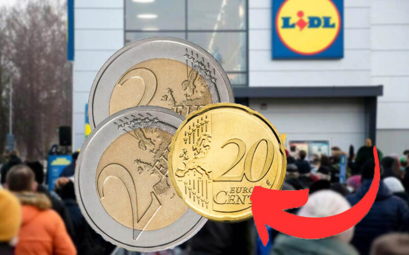 non-ci-credevo-ma-stavano-in-vendita-a-poco-piu-di-4-euro-da-lidl,-molto-meno-rispetto-allanno-scorso:-ne-ho-presi-un-bel-po!