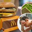 mcdonalds,-allarme-escherichia-coli:-49-ammalati-e-un-decesso:-in-quale-panino-si-trova-il-batterio?