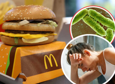 mcdonalds,-allarme-escherichia-coli:-49-ammalati-e-un-decesso:-in-quale-panino-si-trova-il-batterio?