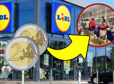 li-ho-presi-tutti-e-4,-costavano-3,99-euro-da-lidl:-un-vero-affare-|-li-ho-messi-gia-dappertutto-dentro-casa!