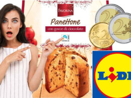 panettone-lidl-2024:-non-lavresti-mai-detto,-costa-meno-di-5-euro-ma-lo-produce-questo-famosissimo-marchio!