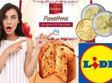 panettone-lidl-2024:-non-lavresti-mai-detto,-costa-meno-di-5-euro-ma-lo-produce-questo-famosissimo-marchio!