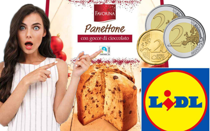 panettone-lidl-2024:-non-lavresti-mai-detto,-costa-meno-di-5-euro-ma-lo-produce-questo-famosissimo-marchio!