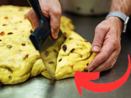 panettoni-piu-buoni-del-mondo-2024,-ti-conviene-provarli-questanno:-sono-i-vincitori-della-coppa-del-mondo-del-panettone!