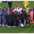 dramma-durante-fiorentina-inter,-bove-si-accascia-al-suolo:-partita-sospesa