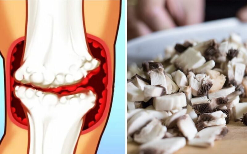 vitamina-d,-gli-8-cibi-piu-ricchi-per-ottenere-la-tua-dose-giornaliera-consigliata