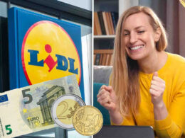 lidl-questa-volta-te-lo-regala-quasi,-meno-di-10-euro-per-il-regalo-piu-bello-per-natale:-farai-felice-tutte-le-donne!